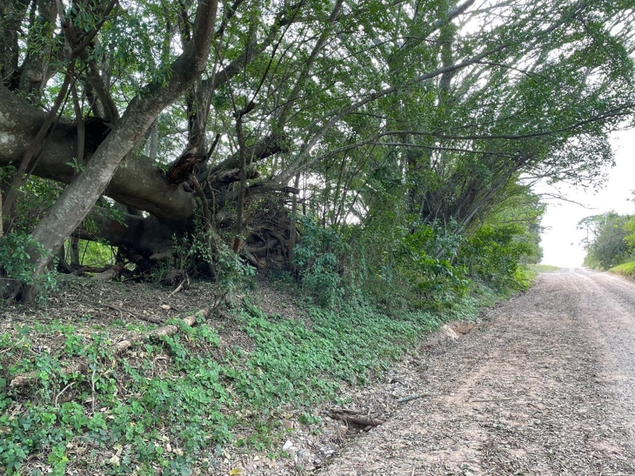 4 Bedroom Property for Sale in Bathurst Eastern Cape